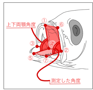今年の図
