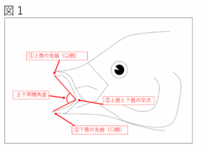 一昨年、昨年までの図